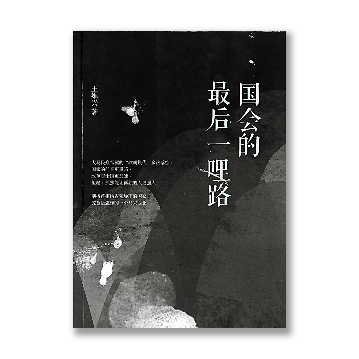 Government Criticism (Mandarin)