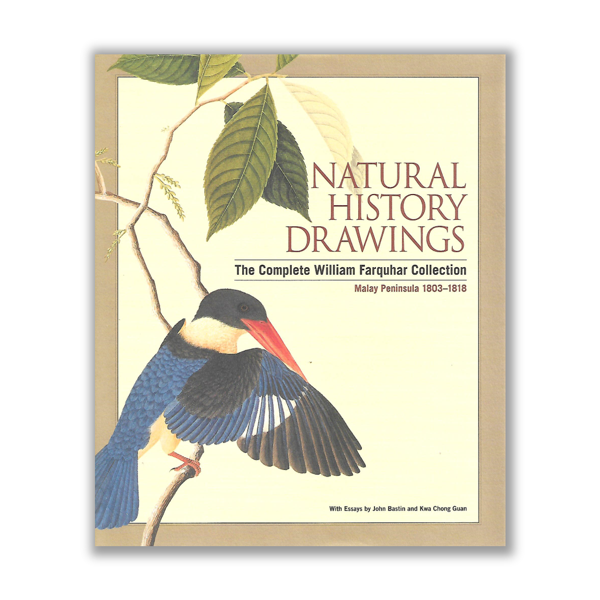 Natural History Drawings of Malaya The Complete Farquhar Riwayat